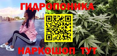 герыч Можга