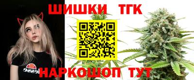 индика Можайск