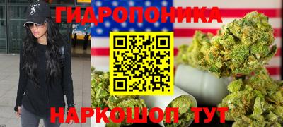 индика Можайск