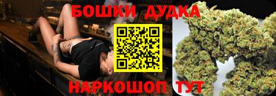 индика Можайск