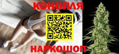 индика Можайск