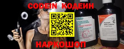 индика Можайск