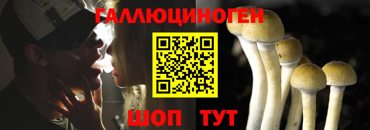 Псилоцибиновые грибы MAGIC MUSHROOMS  Псилоцибиновые грибы мухоморы  Янаул  Вход с VPN 